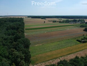 Działka rekreacyjna obok Domaniowa