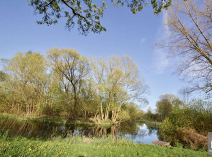 Gryficki, Trzebiatów, Kopernika