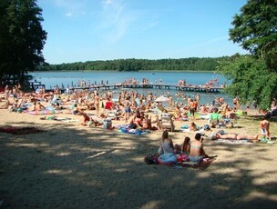 Ośrodek Wypoczynkowy nad jeziorem woj Lubuskie