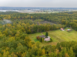 Wielicki, Niepołomice, Białe Błoto