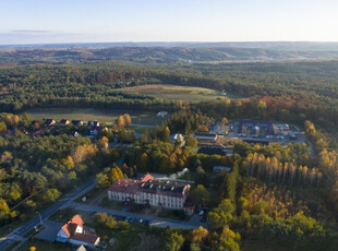 Zamojski, Adamów, Adamów