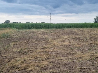 Działka budowlana Kobylniki