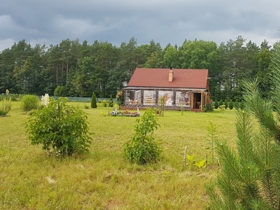 Działka inna Sośnie