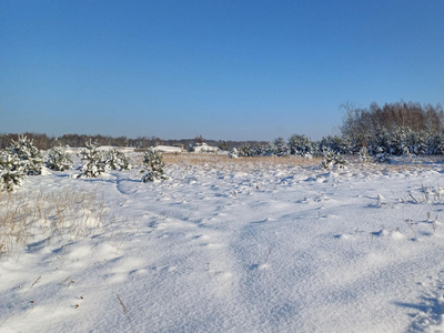 Gliwicki, Sośnicowice, Trachy, Wolności