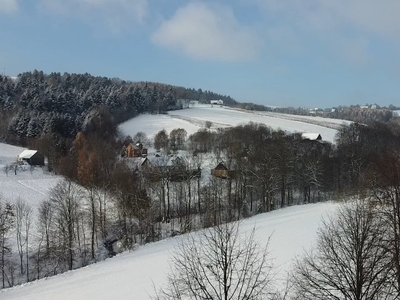 Nowy dom Grybów