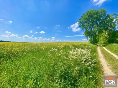 Działka rolna Trzebiatów