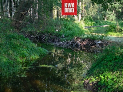 Działka rolna Węgrów