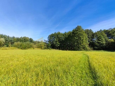 Działka siedliskowa Dobrzyniec gm. Kołbiel