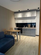 Wynajmę apartament 3 pokoje (43m) Bliska Wola Tower