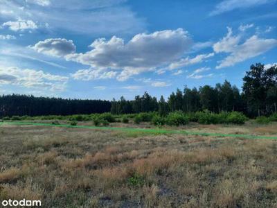 Działka budowlana 2000 m w otulinie lasu