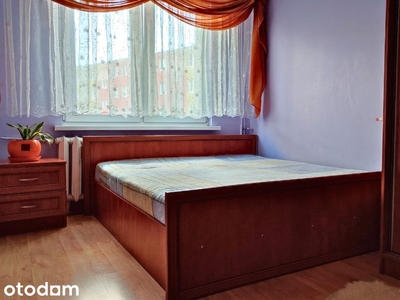 3-pokojowe mieszkanie w Kruszwicy - bezpośrednio