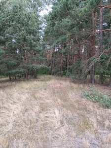 Działka 2700m,Kamieńczyk pod zabudowę jednorodzinna,rekreacja