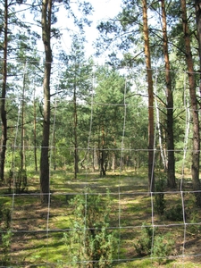 Działka leśna Wólka Radzymińska