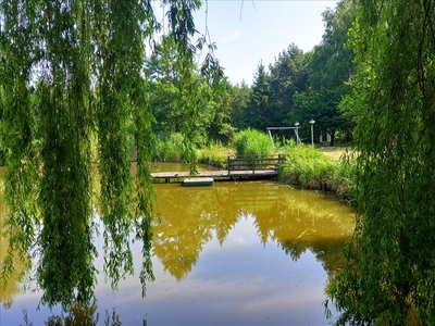 Działka na sprzedaż, Oleśnicki, Sokołowice