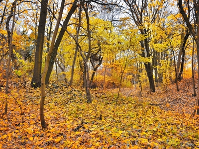 działka na sprzedaż Szczecin Bezrzecze