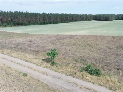 Działka na sprzedaż, Szczecinecki, Biały Bór Wieś