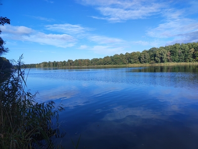 Działka nad jeziorem