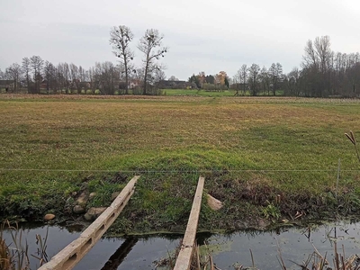 Siedlisko z Domem ( Park Biebrzański )