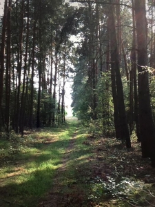 Ziemia rolna z lasem blisko jeziora 2,11 ha Właściciel