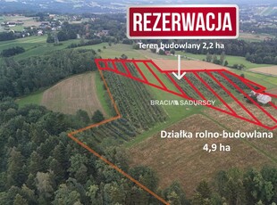 Łapanów Wolica Wolica, 49 000,00 m