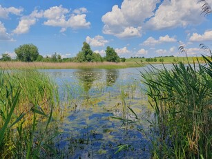 działka na sprzedaż Zieleniewo