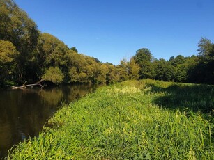 Działka z linią brzegową i lasem pod zabudowę