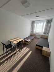 Wynajmę HOSTEL/BIURA na 30 os., 12 pokoi, 4 łazienki, centrum miasta