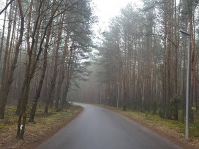 Działka budowlana położona w lesie.