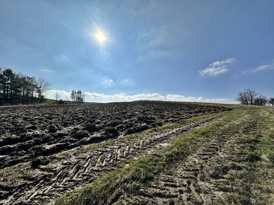 Nieruchomość przy trasie Wolbrom - Miechów