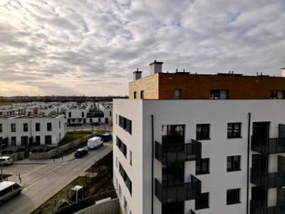 Apartament, Kryzki