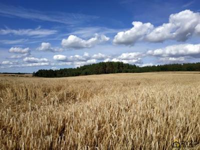 Działka budowlana Żelewo