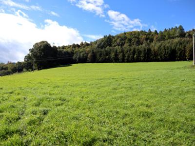 Działka budowlana Goleszów