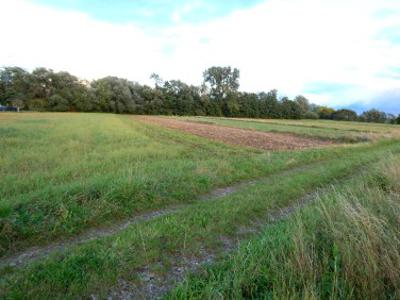 Działka budowlana Przylasek Wyciąski, ul. Morgi