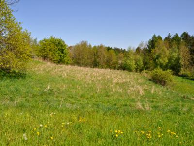 Działka rolno-budowlana Dobczyce