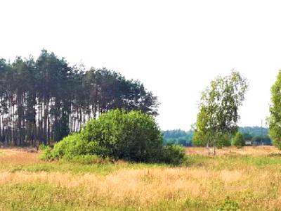 Działka rolno-budowlana Rybakowo