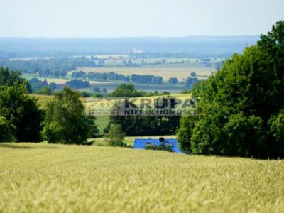 Działka siedliskowa Pietrzwałd