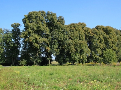 Działka budowlana Nasutów