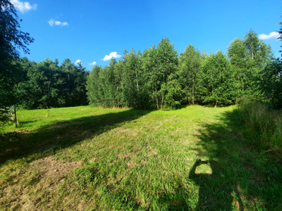 Działka budowlana, ul. Królewska