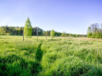 Działka budowlana Niewodnica Korycka