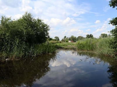 Działka rekreacyjna Konin