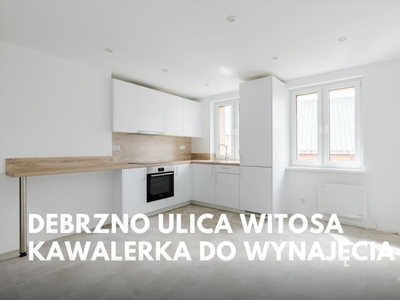 Kawalerka na wynajem