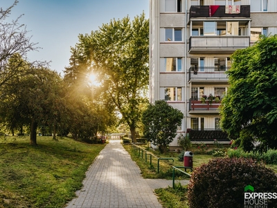 Mieszkanie trzypokojowe na wynajem