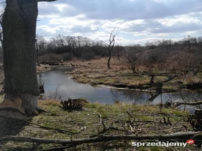 DZIAŁKA BUDOWLANA NAD RZECZKĄ