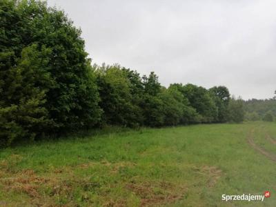 DZIAŁKA W POBLIŻU PLANOWANEJ OBWODNICY JABŁONNY