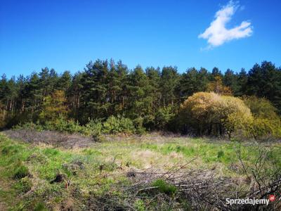 Działka przy lesie 1094m2 - 600m od jez. Żalskiego Dużego