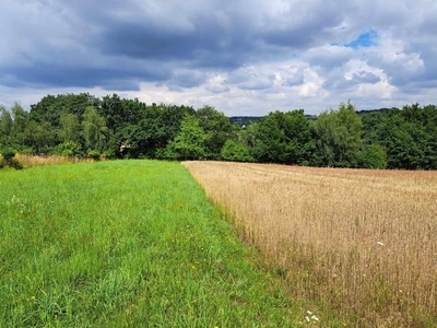 Działka rolna Świńczów