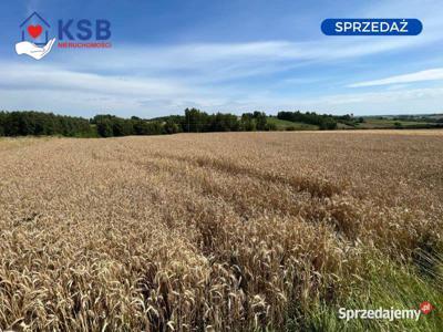 Duże działki w przepięknej okolicy, blisko miasta - 6700m2