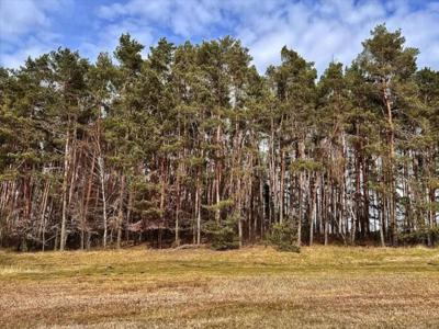 Działka na sprzedaż, Brodnicki, Gorczeniczka