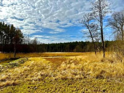 Działka na sprzedaż, Brodnicki, Gorczeniczka