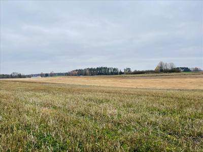 Działka na sprzedaż, Giżycki, Jagodne Wielkie